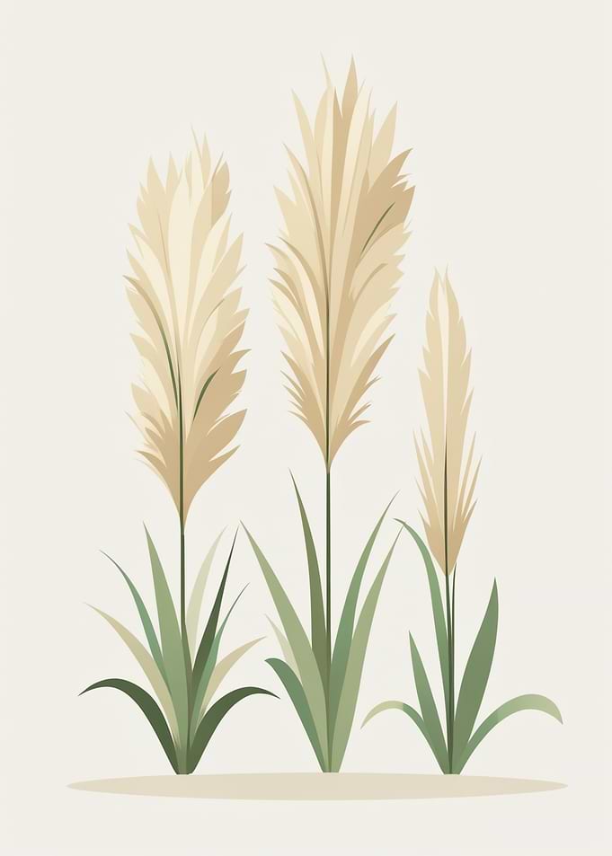 Pampas Grass Illustration