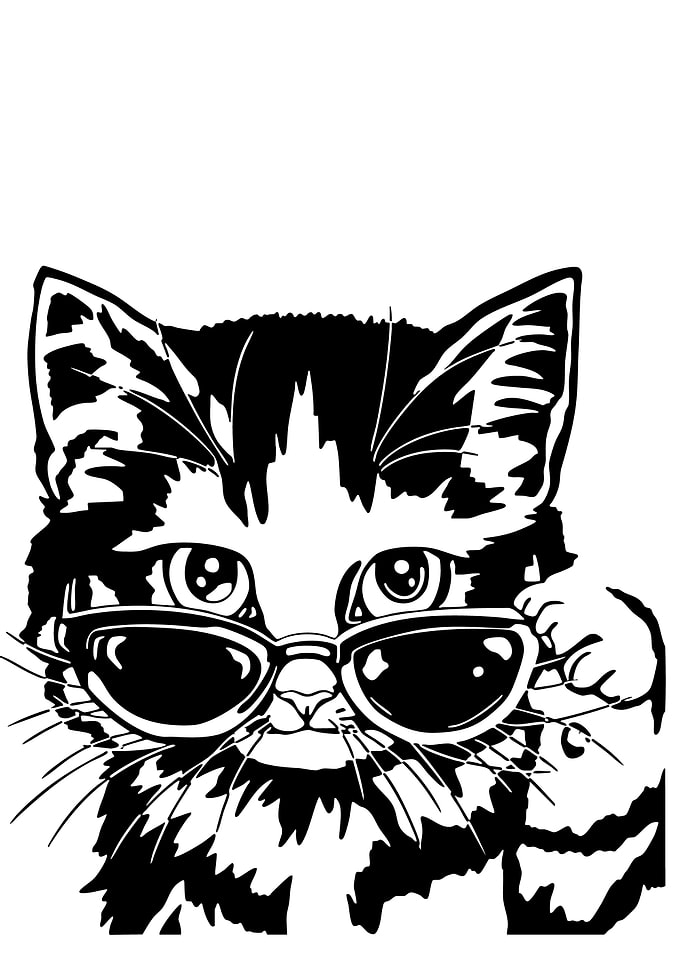 Cool Cat with Sunglasses