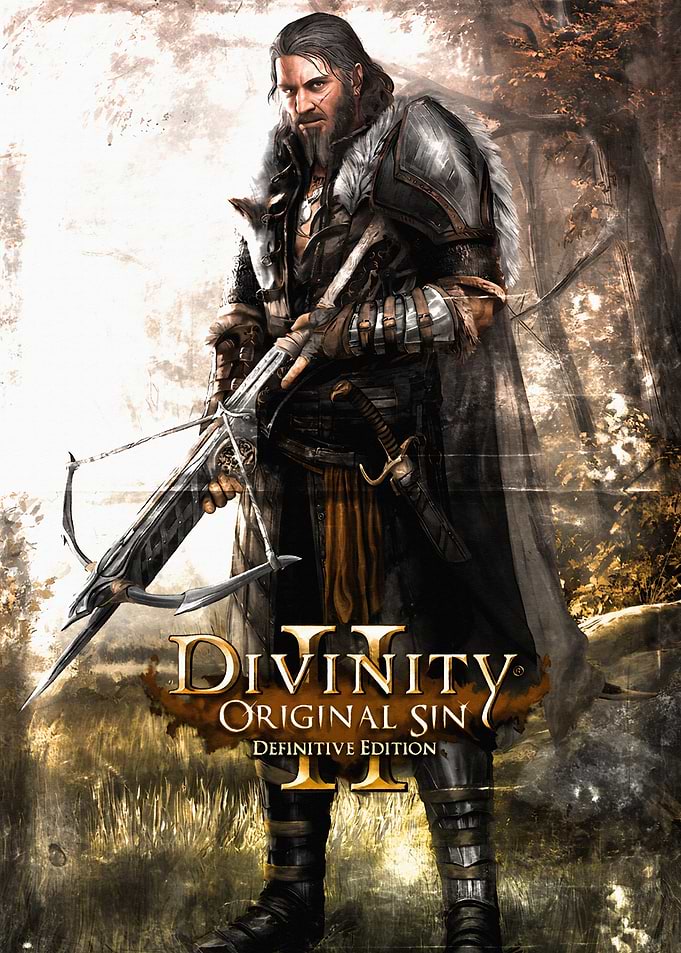 Divinity Original Sin II Definitive Edition