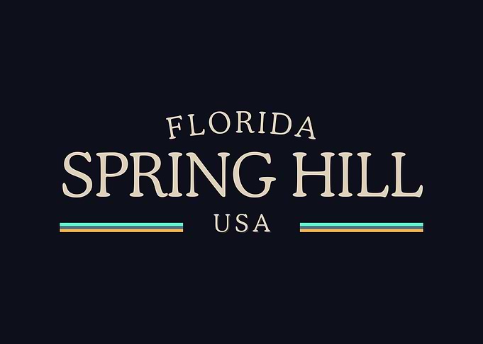 Florida Spring Hill USA Midnight