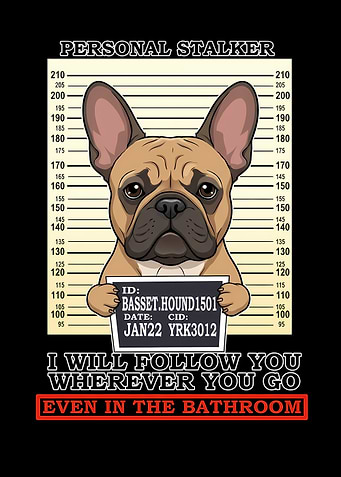 Personal Stalker Basset Hound Mugshot