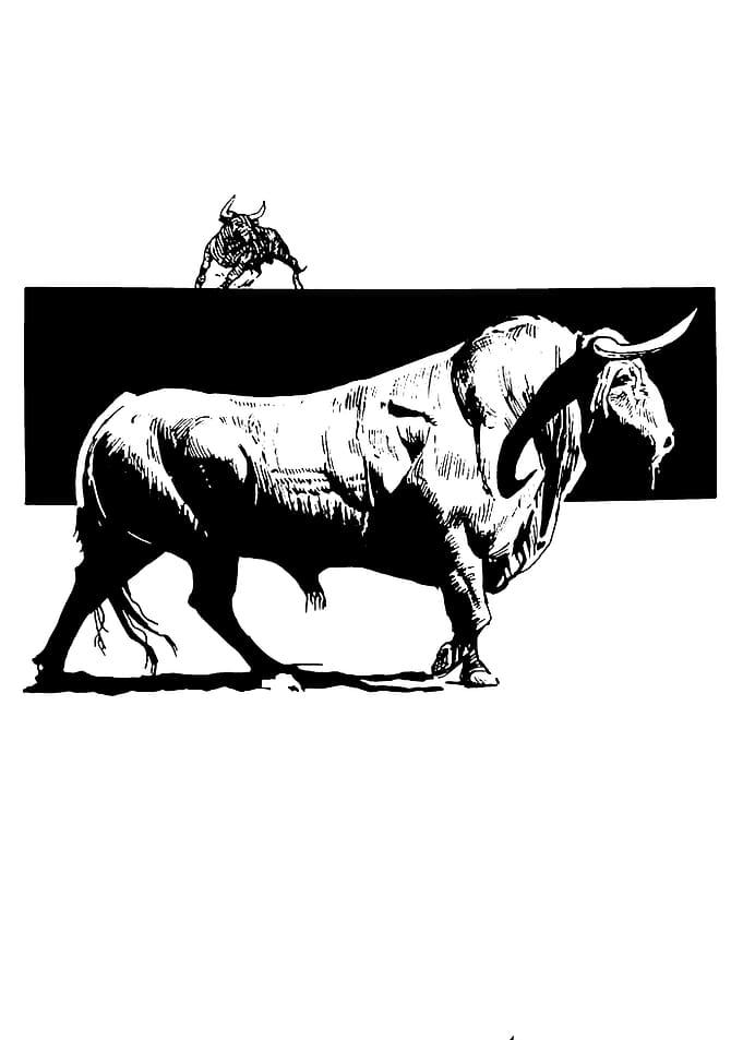 Black and White Bull Illustration