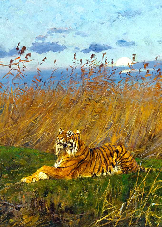 Tiger Among Rushes in the Moonlight