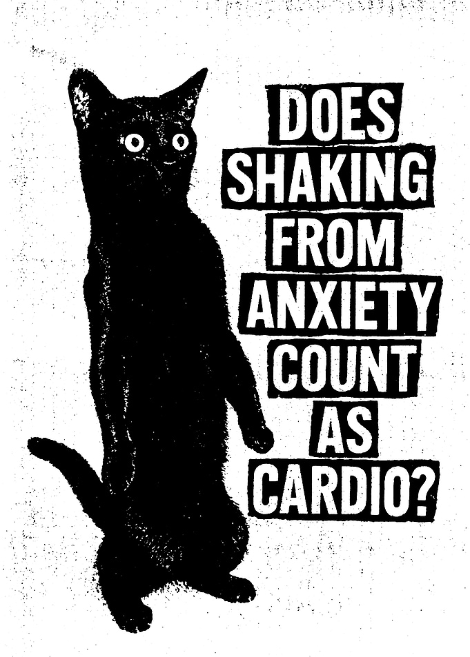 Anxious Cat Cardio Question