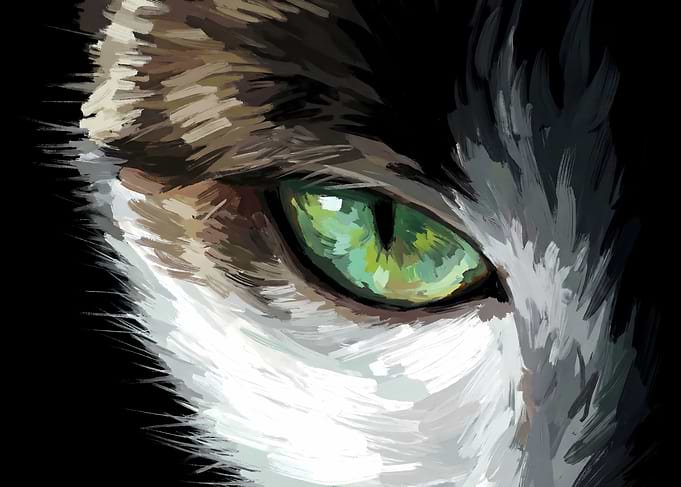 Close-up of a Cat's Green Eye