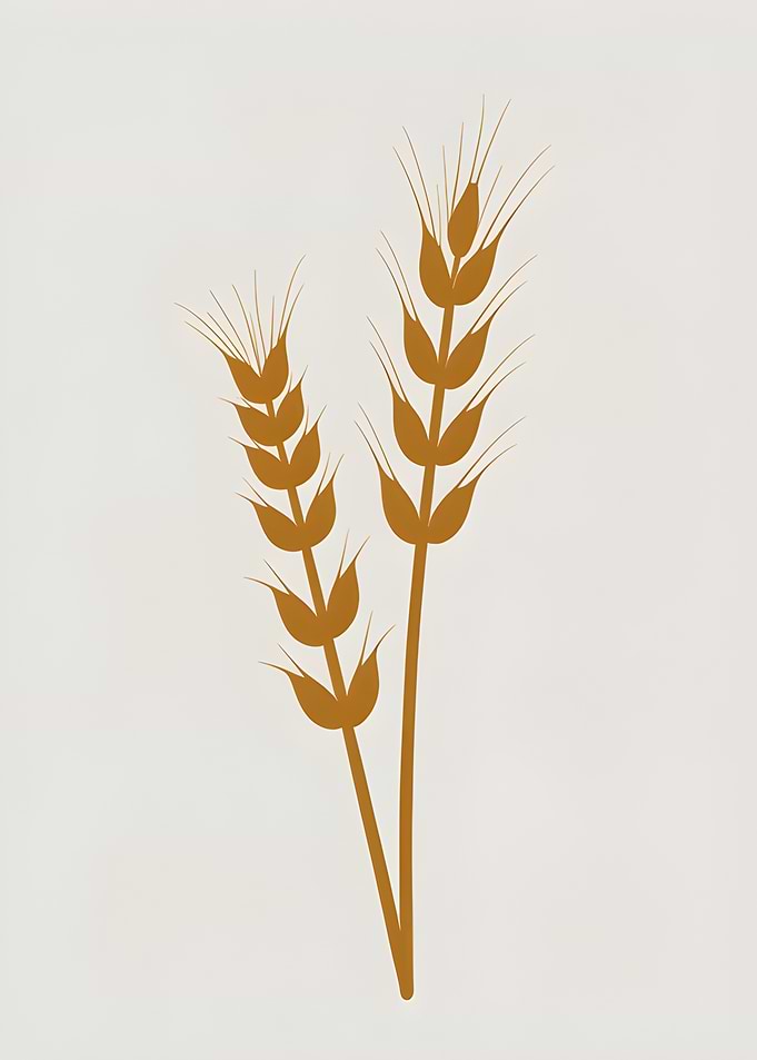 Wheat Stalks Illustration