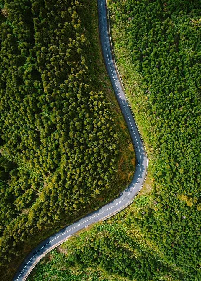 Aerial view of road through forest