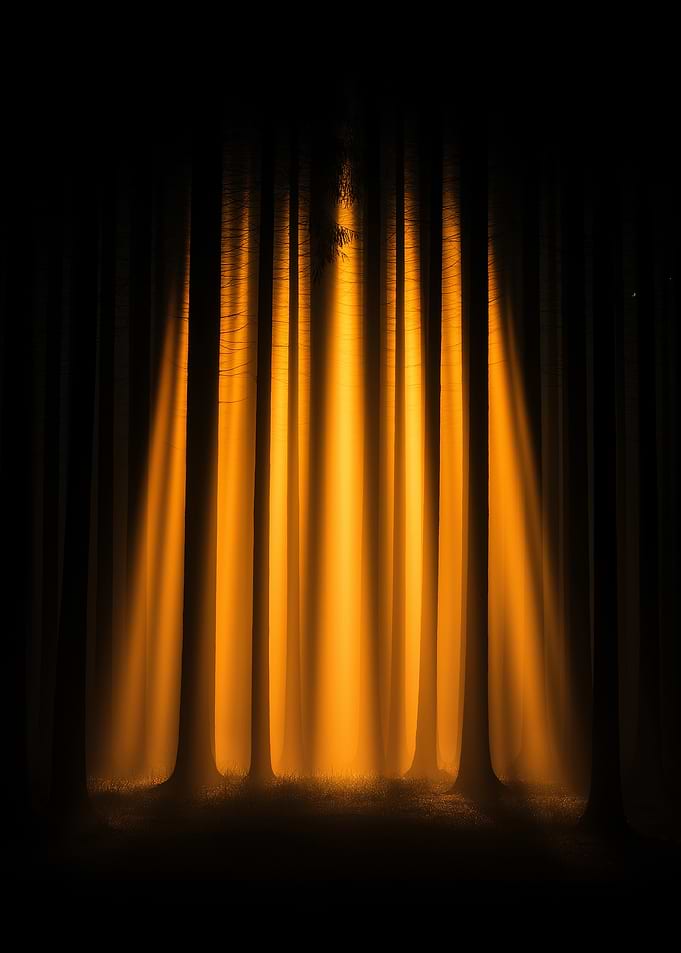 Eerie Forest with Golden Light