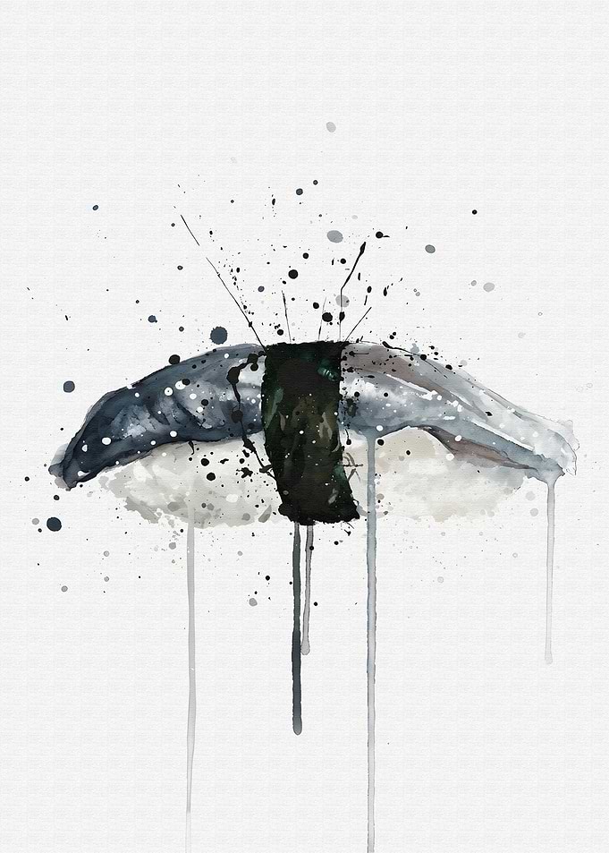 Watercolor Sushi Isaki Nigiri Art