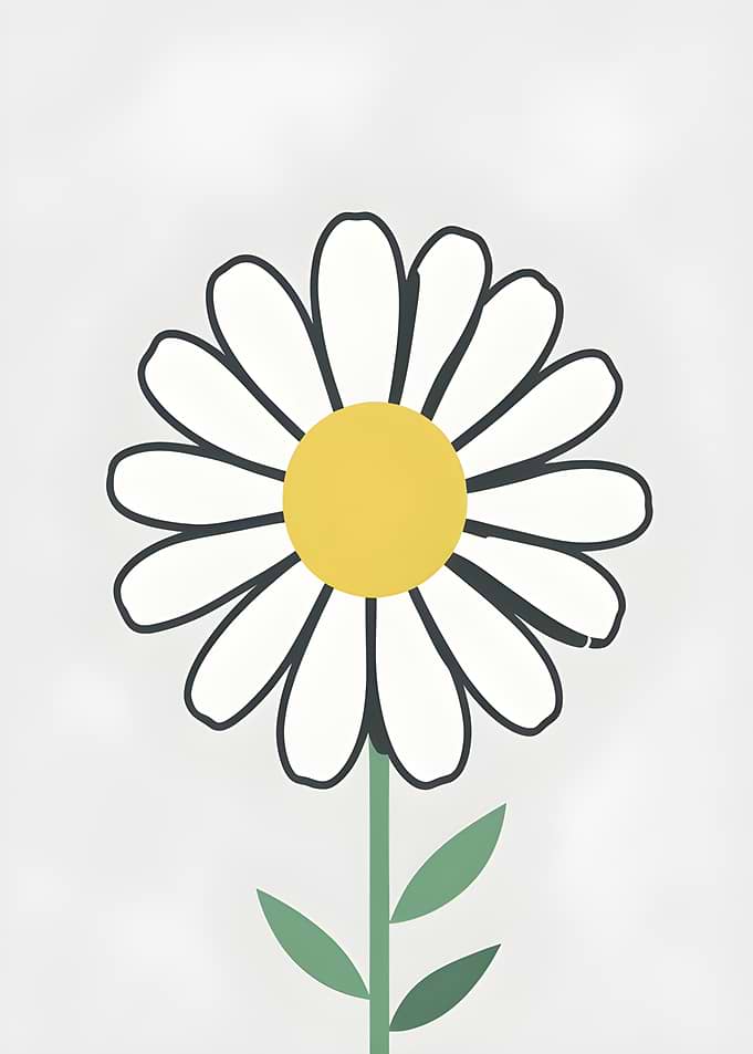 Daisy Flower Illustration