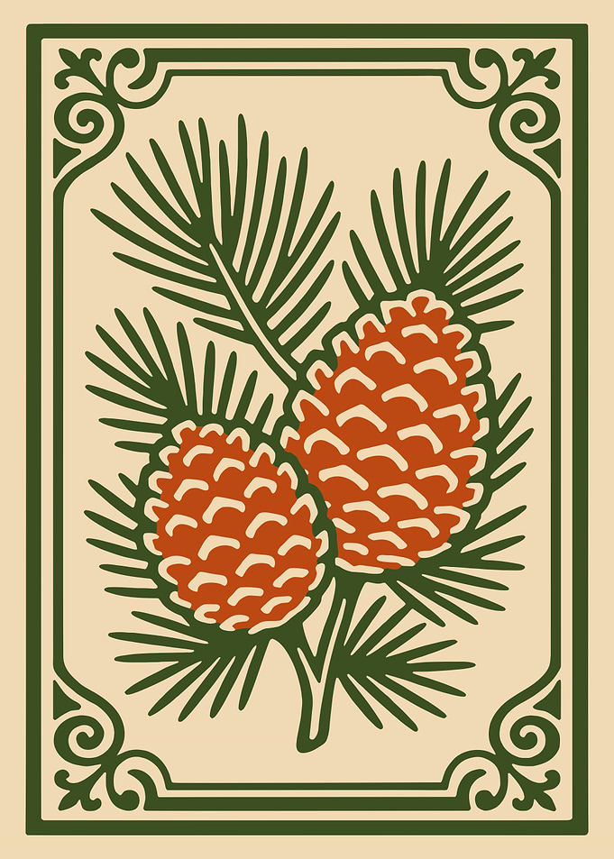 Pine Cones Illustration with Decorative Border