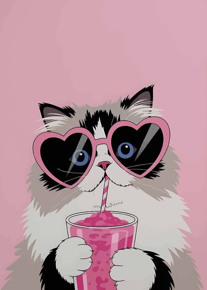 Cat with Heart Glasses and Smoothie