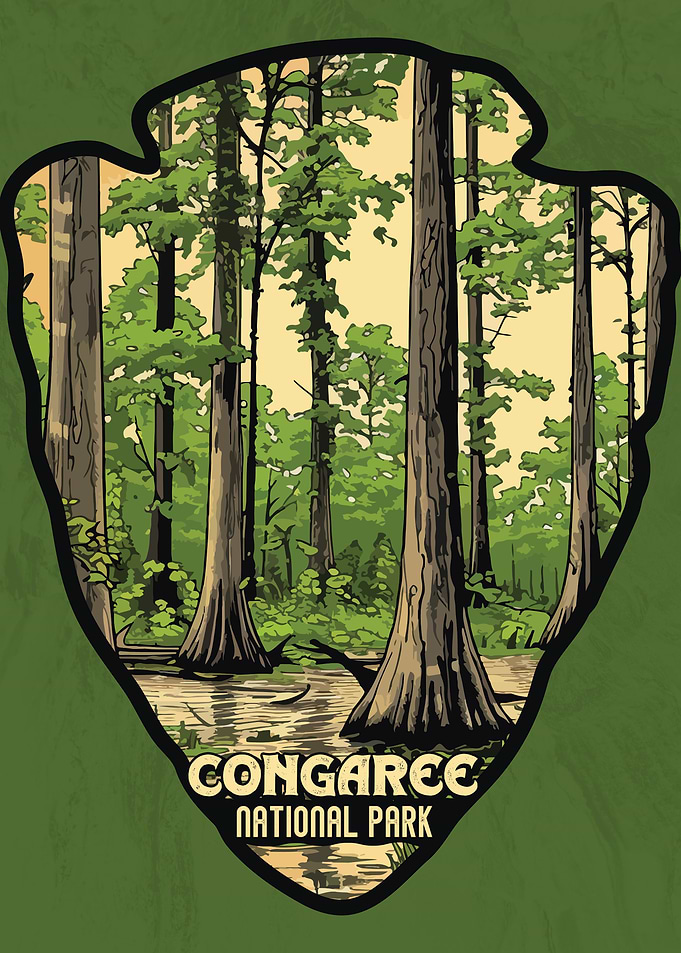 Vintage Congaree National Park, Retro National park, United States of America Congaree
