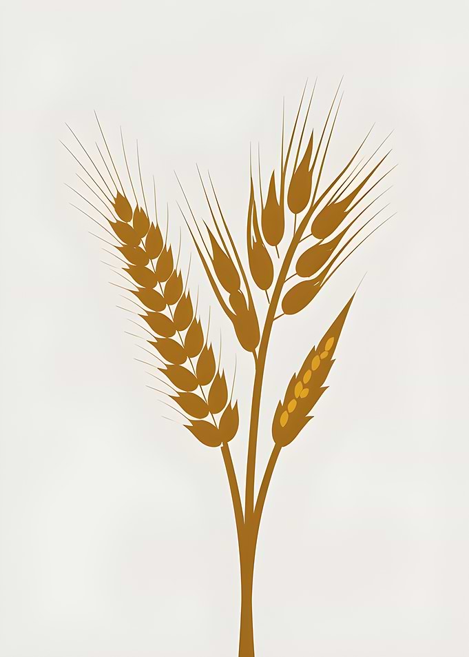 Wheat Stalks Illustration
