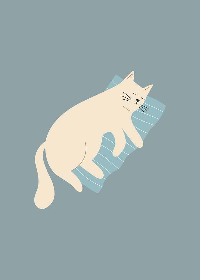 Sleeping Cat on Pillow Illustration