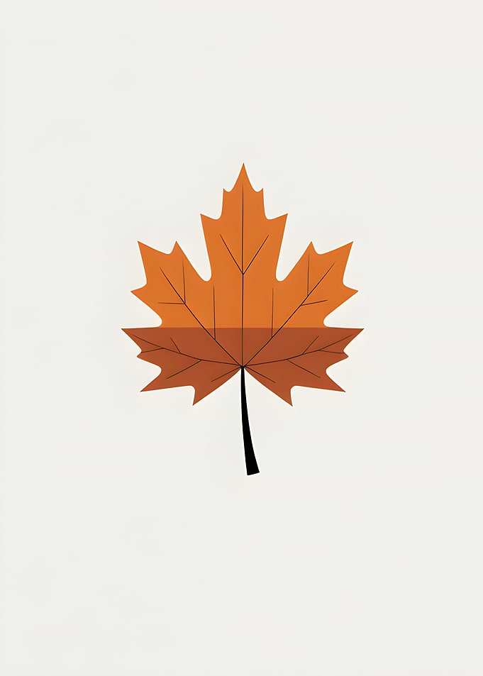 Minimalist Maple Leaf Illustration