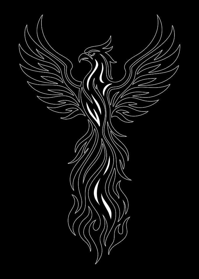 Phoenix Rising White Outline on Black