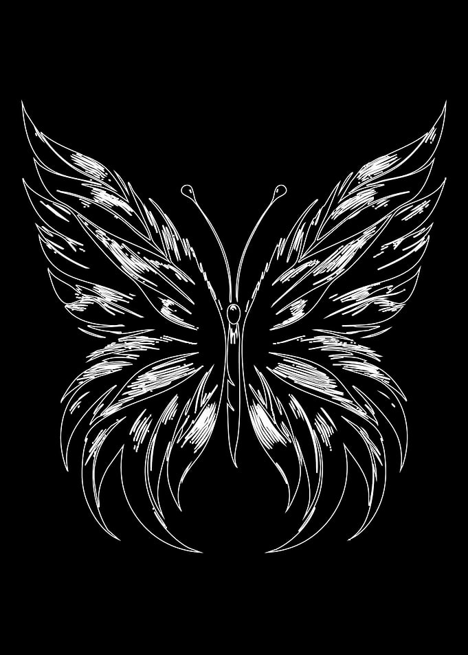 White Butterfly Sketch on Black Background