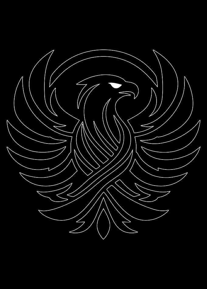 White Eagle Outline on Black Background