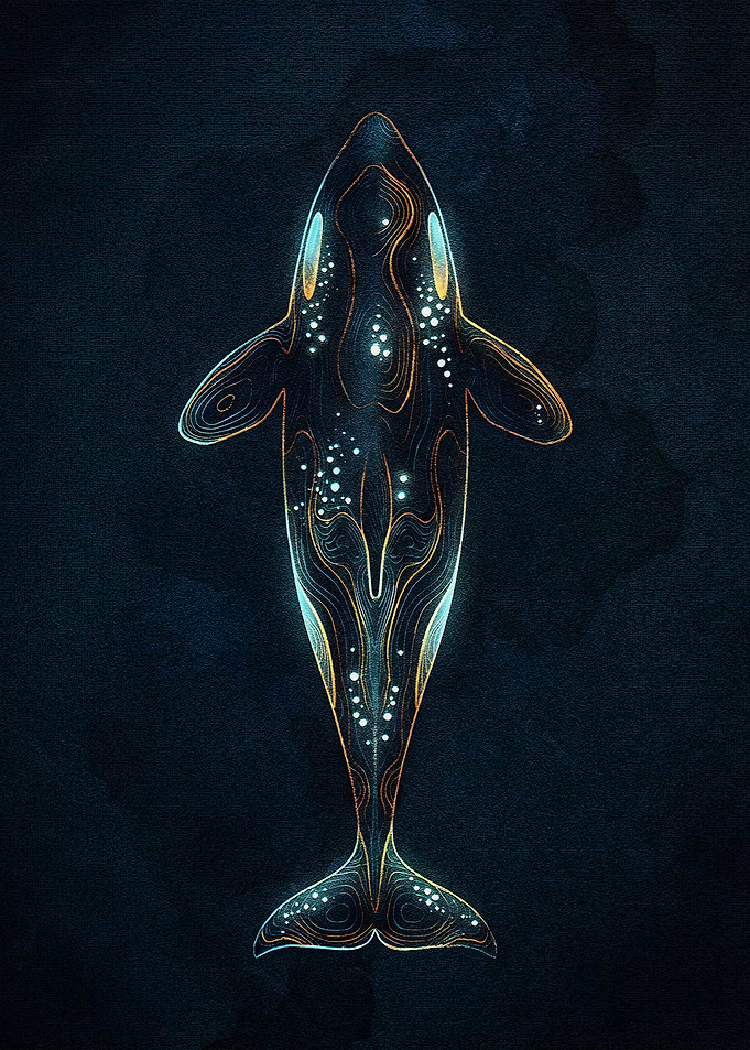 Abstract Orca Whale Illustration