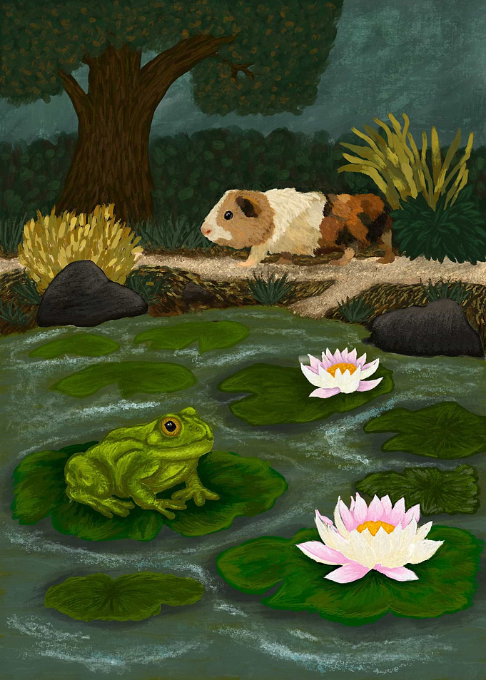 Guinea Pig on the pond path