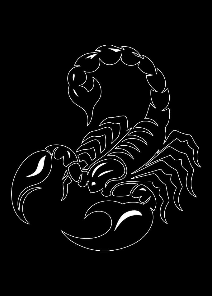 White Scorpion Outline on Black Background