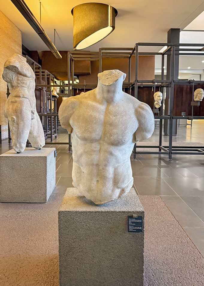 Museum exhibit with torso sculptures