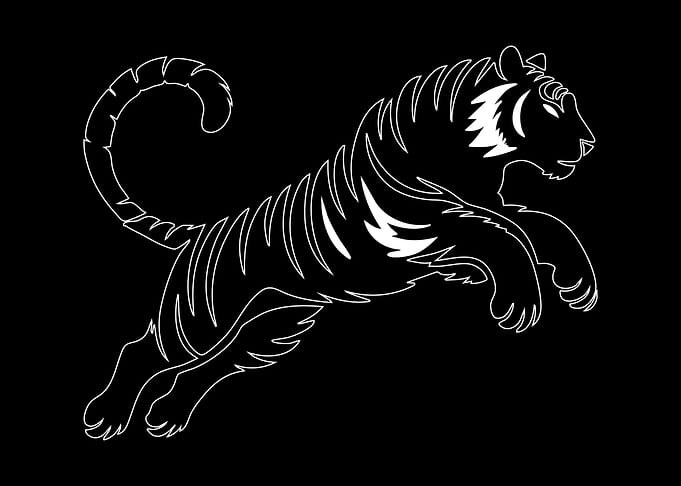 White Tiger Outline on Black Background