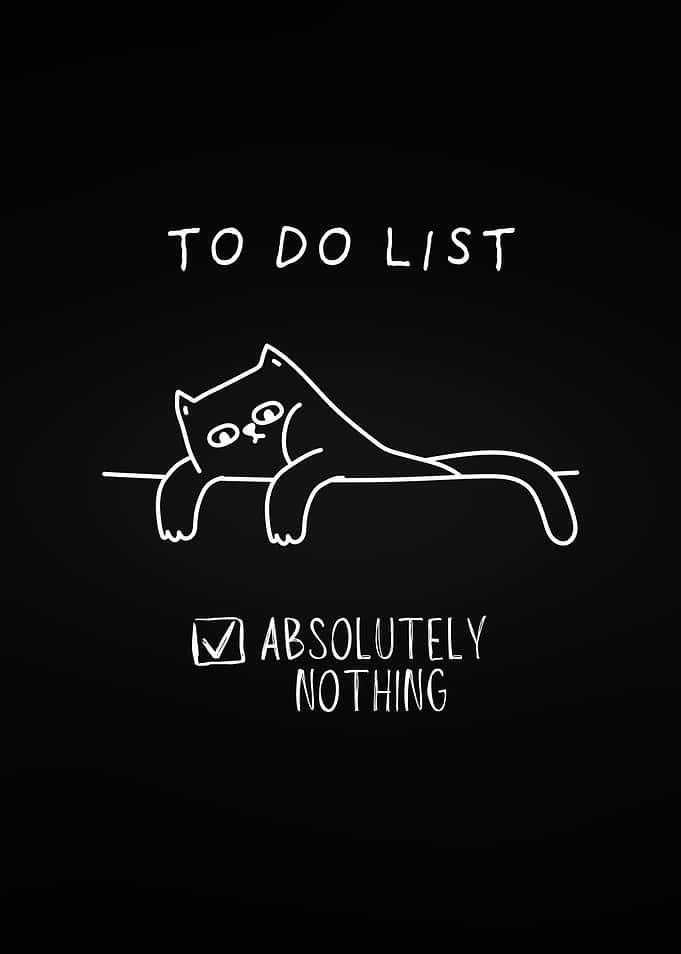 Funny Cat Doing Nothing
