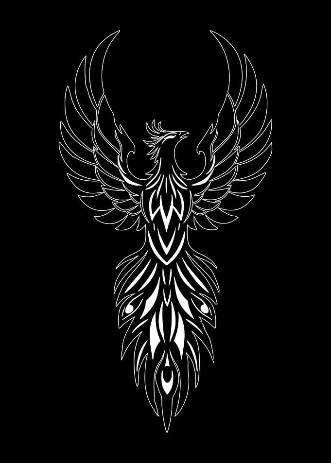 Phoenix Rising: White on Black Design