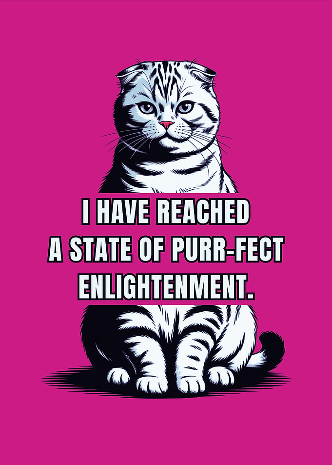 Purr-fect Enlightenment Scottish Fold Cat