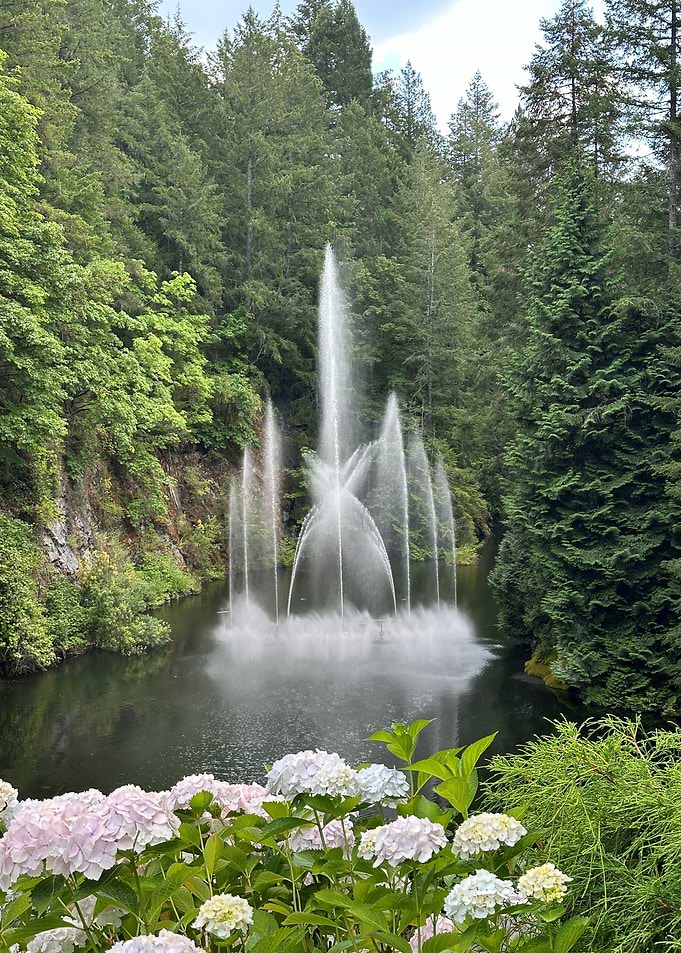 Fountain in a lush garden setting