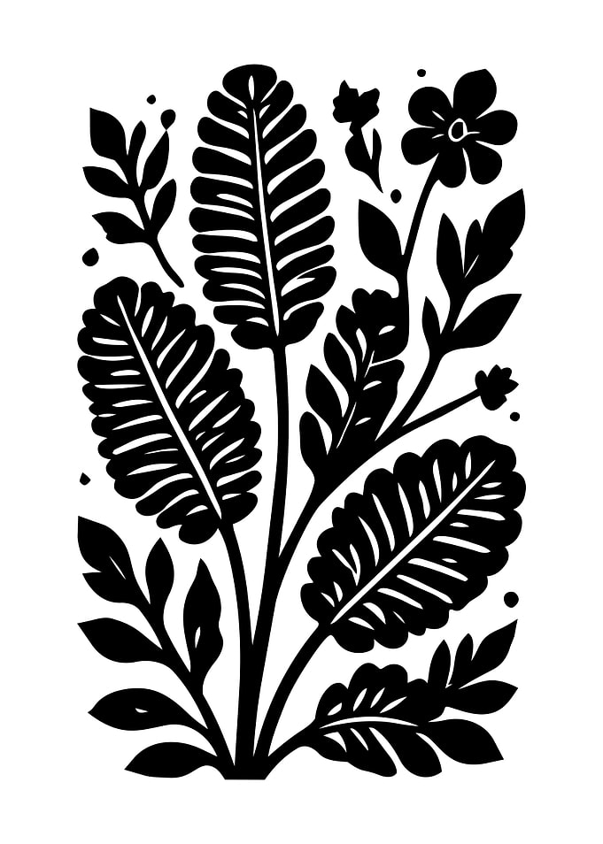 Black and White Floral Illustration