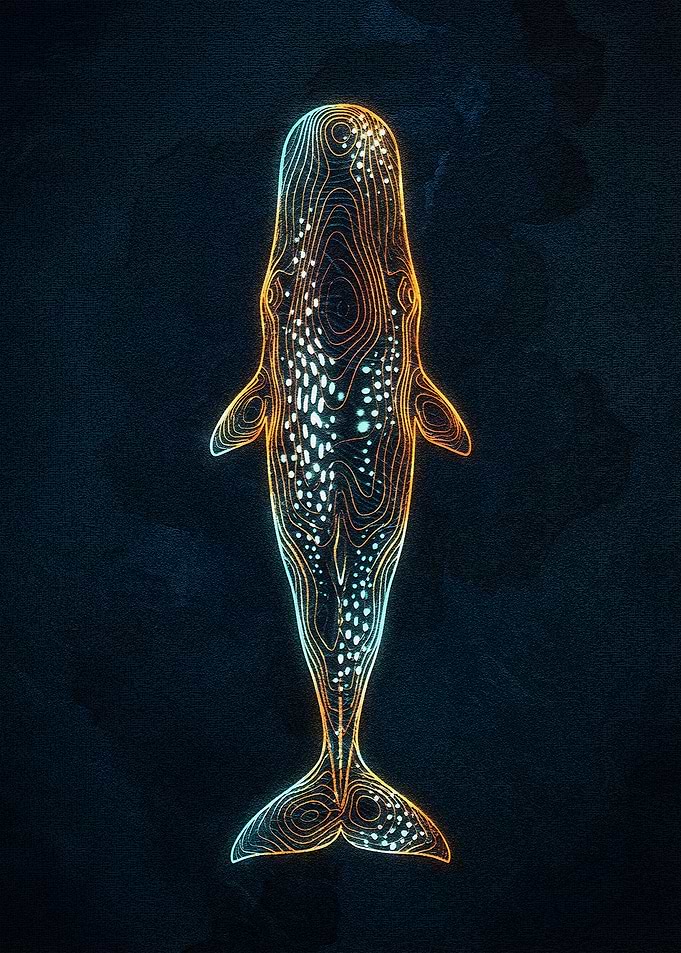 Abstract Whale Illustration on Dark Background