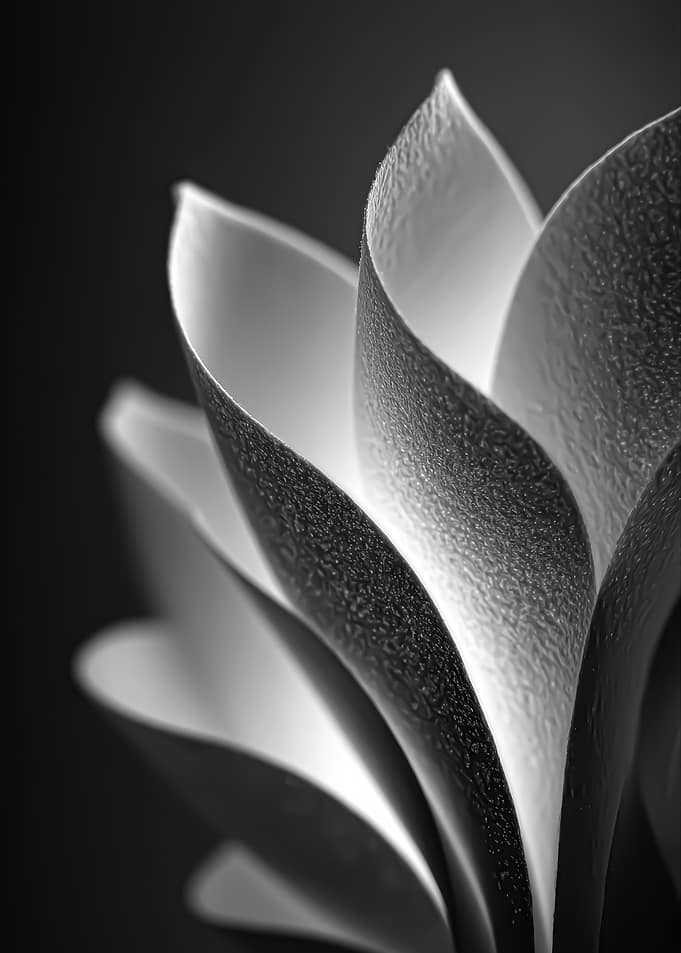 Abstract Floral Black and White