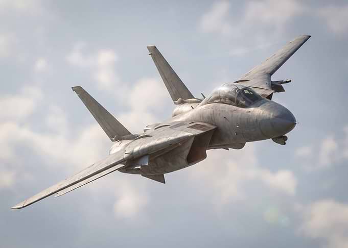 F-14 Tomcat in Flight