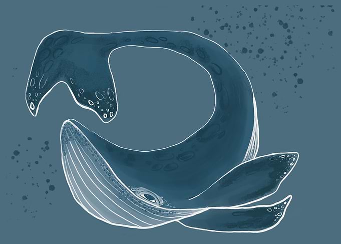 The Hoppy Whale