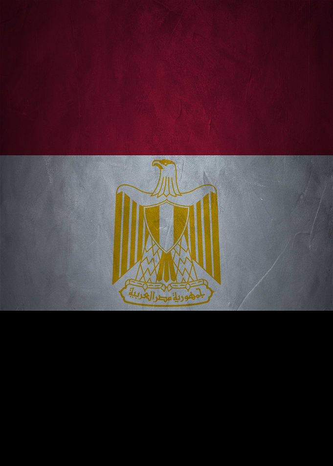 Egyptian Flag with Emblem