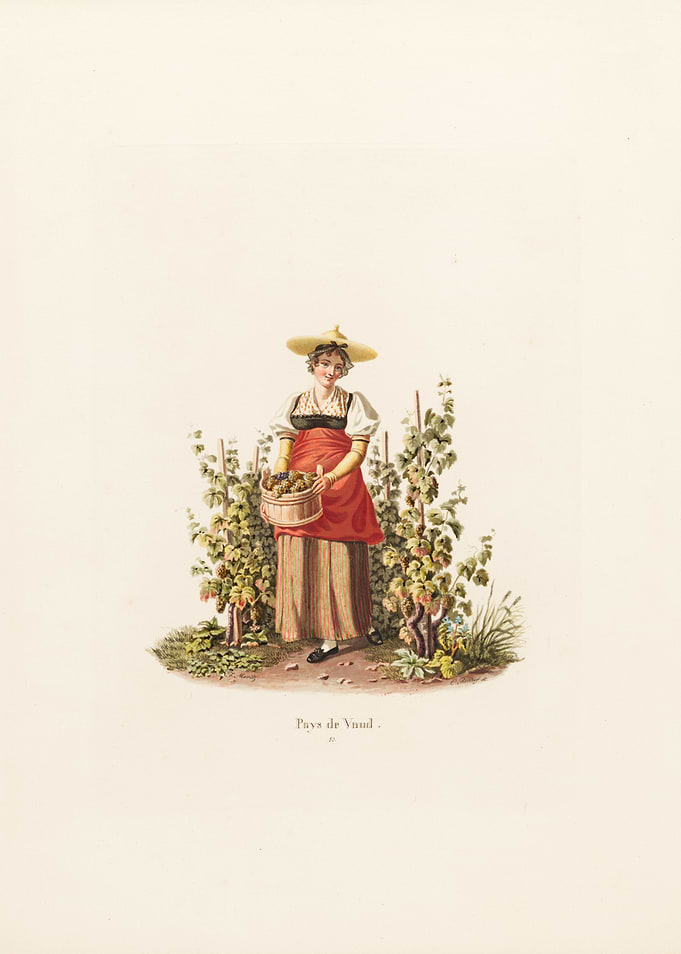 Vintage Vineyard Woman Illustration