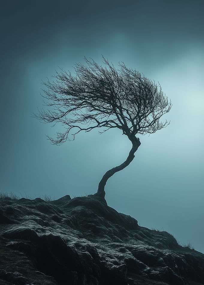 Lonely Tree on a Hill