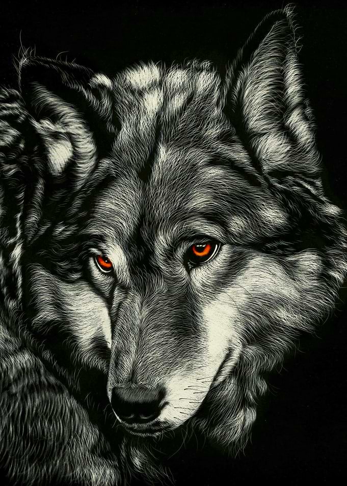 Wolf Portrait