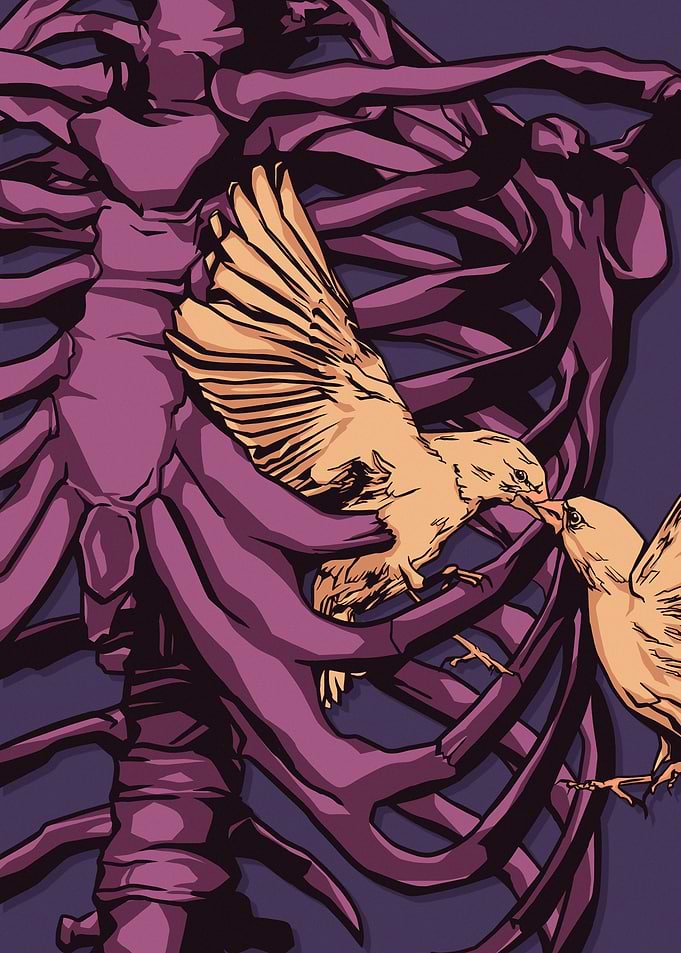 Birds in Ribcage Illustration