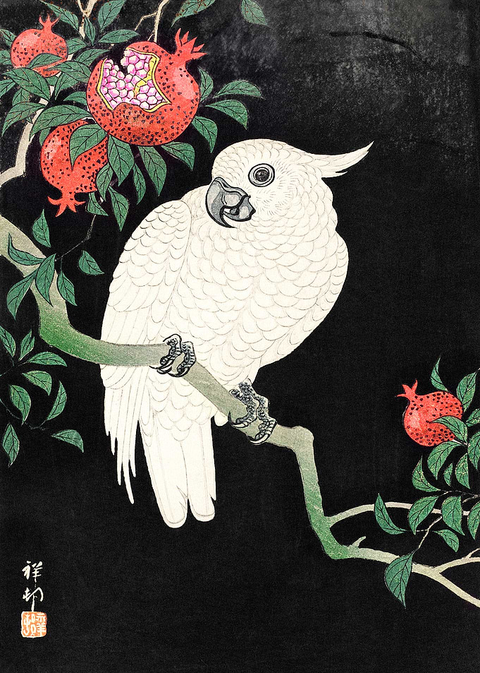 Cockatoo and Pomegranates Japanese Woodblock Print