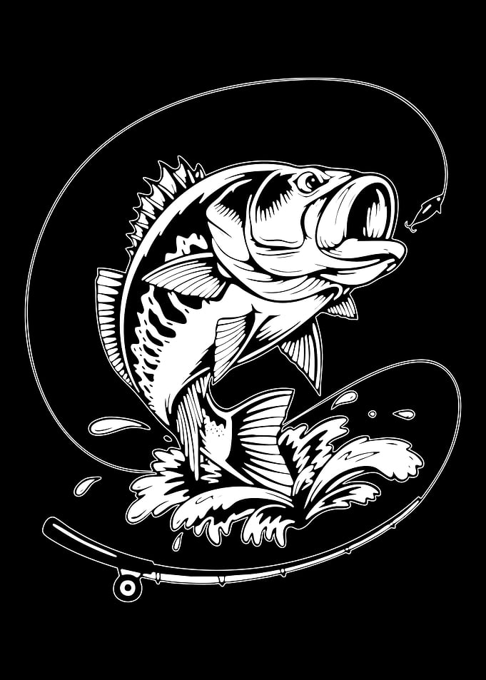 Bass Fishing Black and White Illustration