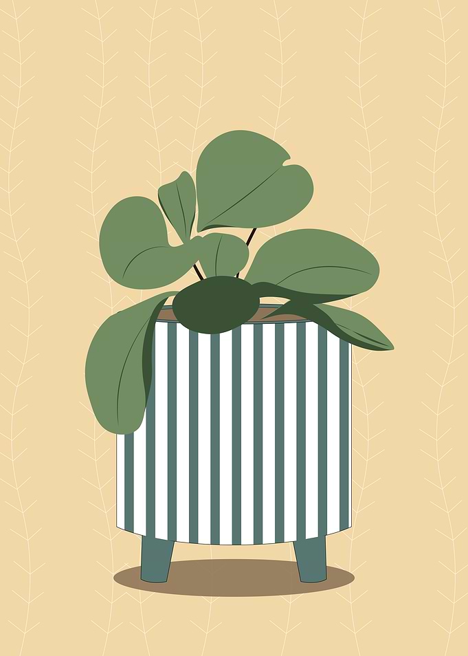 Potted Plant Illustration
