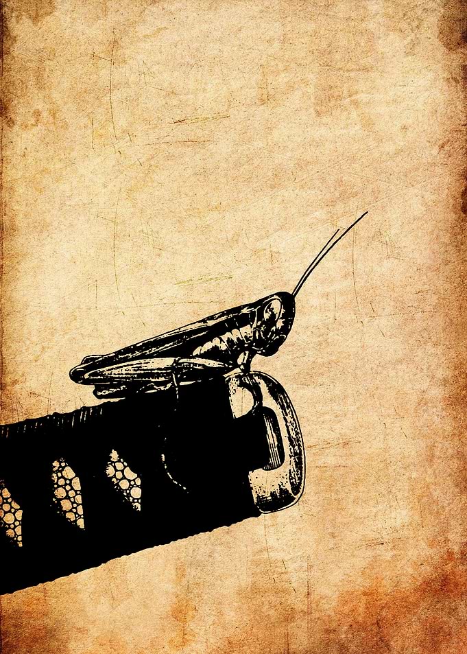 Grasshopper on Katana Hilt Illustration