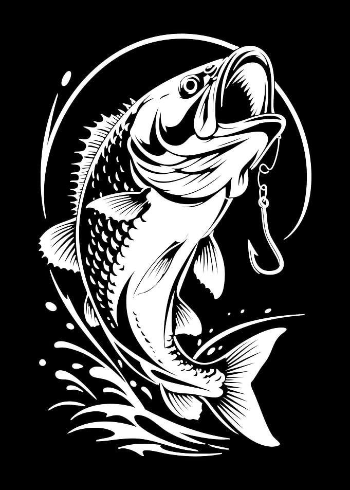 Bass Fish Jumping Black and White
