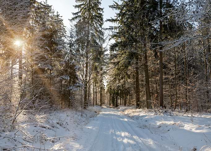 The beauty of winter