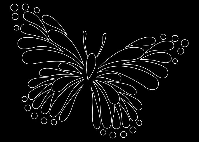 White Butterfly Outline on Black Background