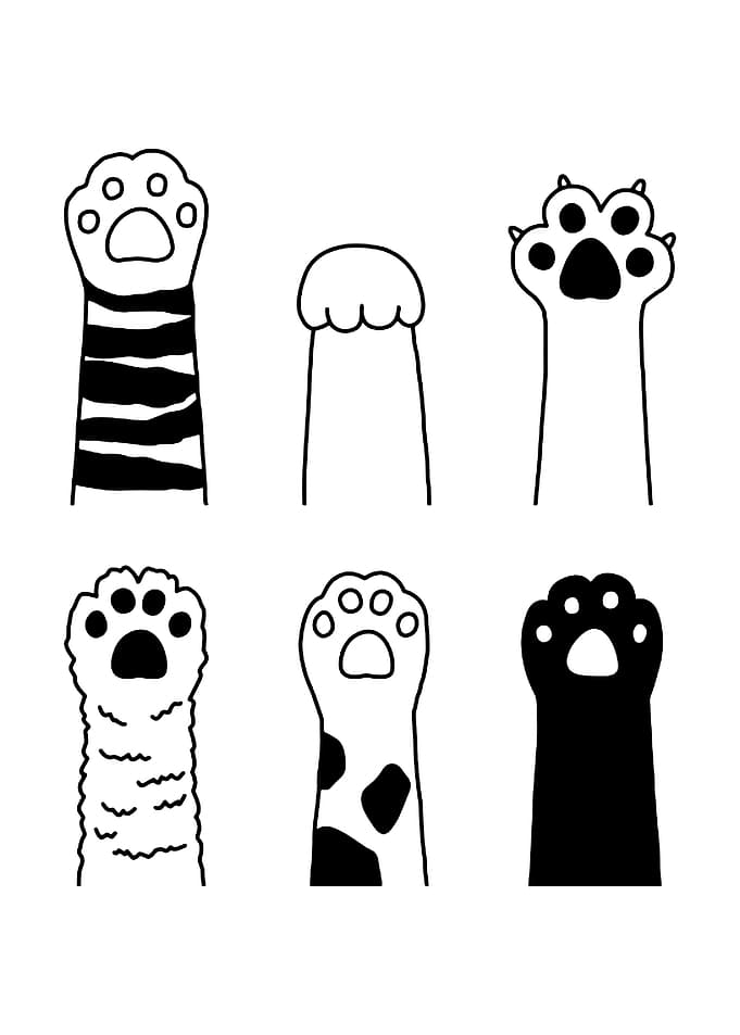 Cute Cat Paws Illustration
